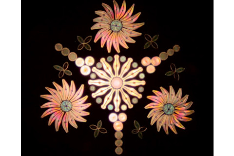 diatoms2.jpg