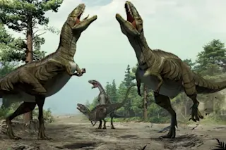 dancing-dinosaurs-160107-670.jpg