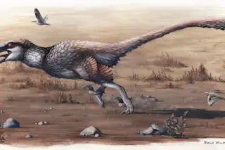 giant_raptor-1024x529.jpg