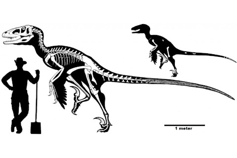 Size-reconstruction-1024x487.jpg