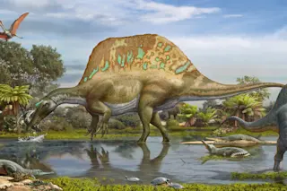 spinosaur-1024x669.jpg