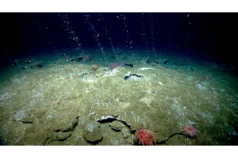 methane-seeps-1024x576.jpg
