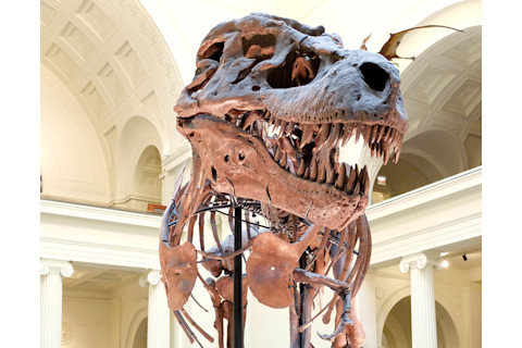 Sue-front.jpg
