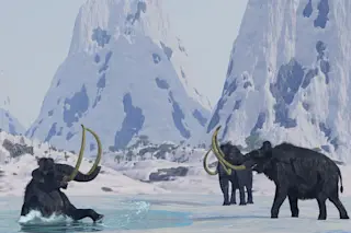 mammoth.jpg