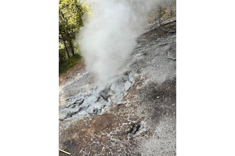 2024 Roadside Springs feature closeup