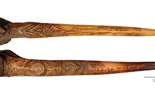 Dominy_et_al_Fig1.tif_.jpg