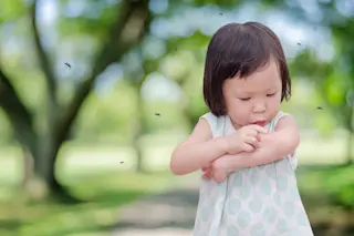 MosquitoSprayNatural.jpg