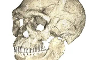 Figure-10-1024x1024.jpg