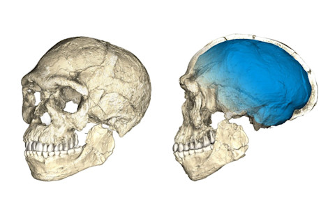 Figure-11-1024x491.jpg