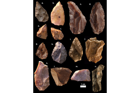 Figure-9-805x1024.png
