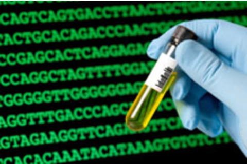 gene.JPG