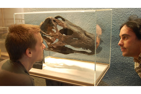 Tschopp-Mateus-GaleamopusPabstiSMA0011_copyrightOctavioMateus.jpg