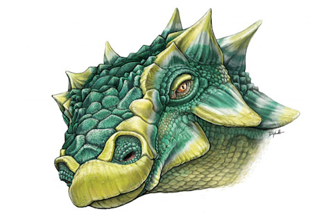 Zuul crurivastator - Royal Ontario Museum