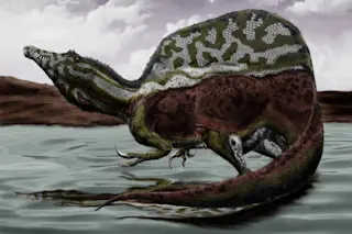 Spinosaurus_durbed-1024x744.jpg