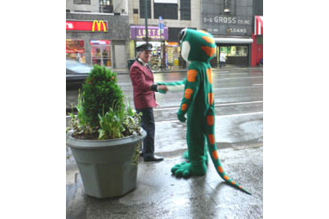 copy_of_geicogecko.jpg