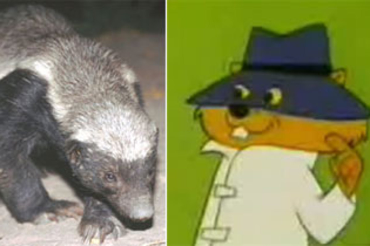 Mammals Attack the Middle East, Part II | Discover Magazine