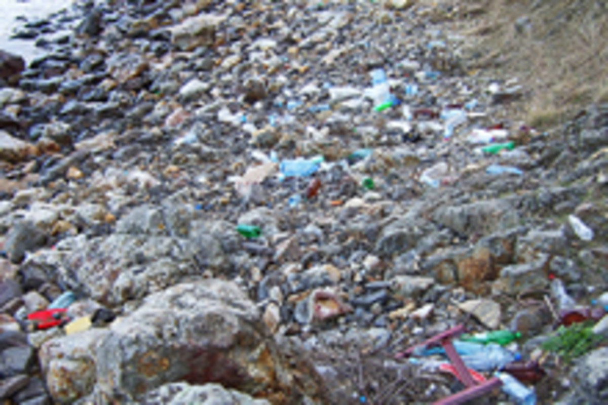 Plastic Raft Sails to Plastic Dump in the Pacific Ocean | Discover Magazine