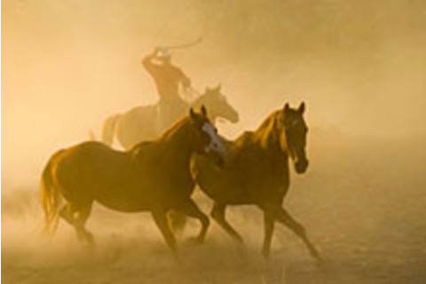 roundup-22022.jpg