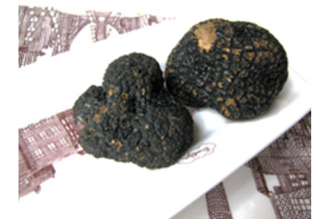truffle.jpg