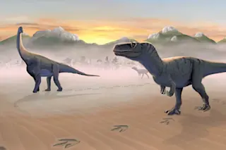 Prince Charles Point reconstruction of Megalosaurus and long-necked sauropod