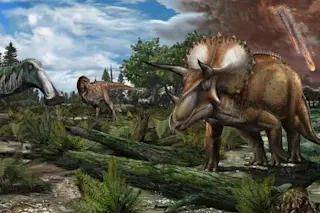 late cretaceous floodplain