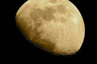 moonweb.jpg