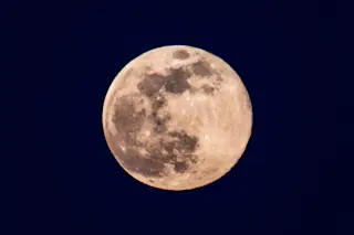 Pink moon