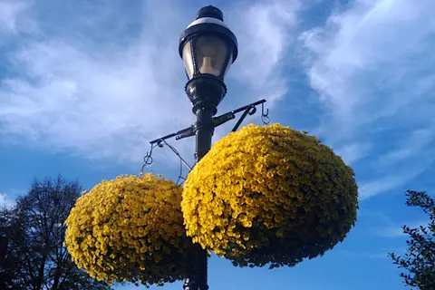 NCBI ROFL: Do your balls hang low? Do they wobble to and fro