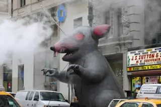 giant-rat-300x199.jpg