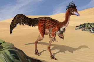 First unambiguous record of pneumaticity in the axial skeleton of alvarezsaurians (Theropoda: Coelurosauria)