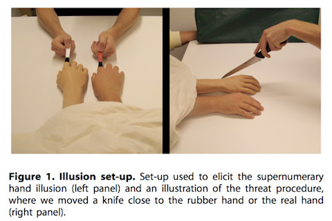 figure_illusion_hand1.png