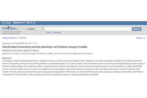 penguin_article.png