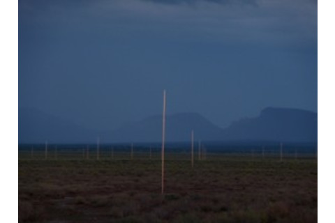 P1010418-300x224.jpg