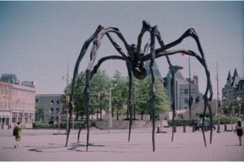 spider-300x199.jpg