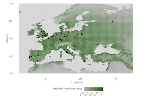 The Range of Palaeoloxodon Antiquus, an Ancient Elephant, in Europe