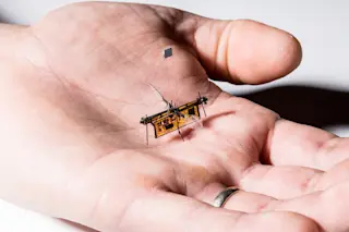 RoboFly_0148_web.jpg