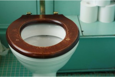 toilet-seat-300x199.jpg