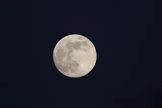 Flower Moon