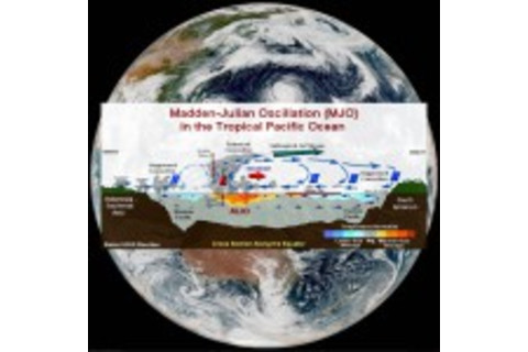 MJO-150x150.jpg