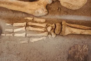 hand bones from archaeological excavations
