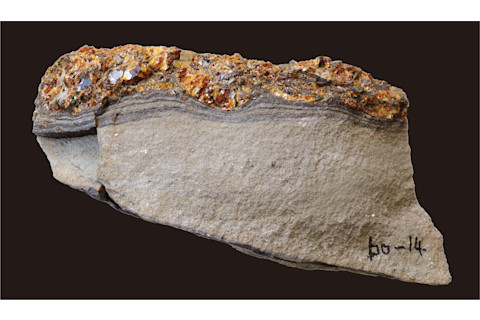 Deep-Sea Sediments Amber Deposits Tsunamis Side View