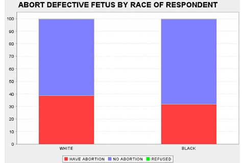 raceabort.jpg