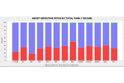 incomeabort.jpg