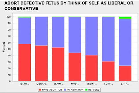 politicalabort.jpg