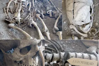 Bones From Maiden Castle