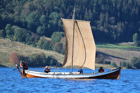 Research Viking Boat