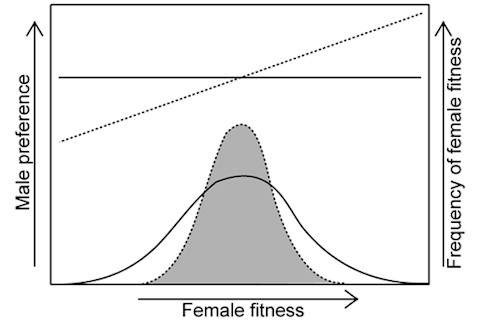 journal.pbio.1000254.g001.png