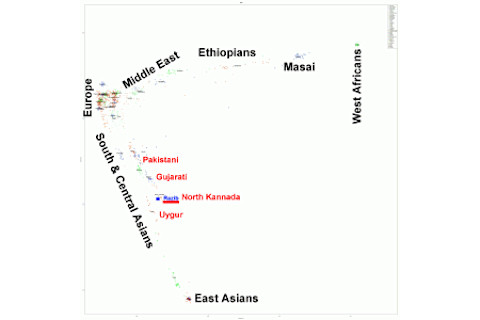 MDS_DOD307-300x300.png