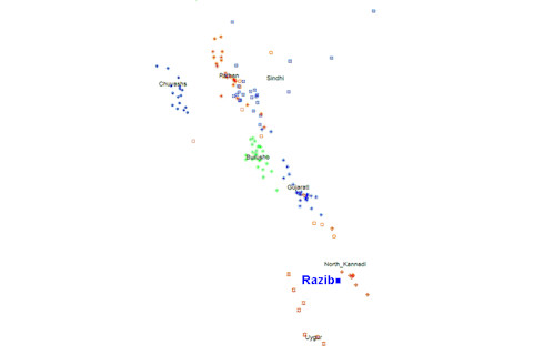 razdod.png