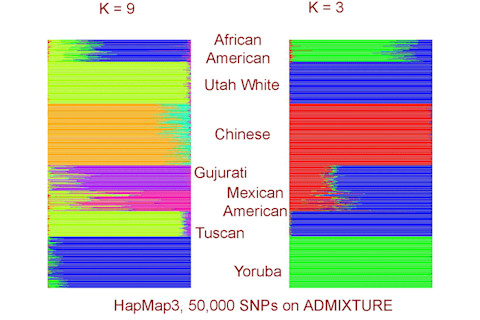 admixhapmap3.png